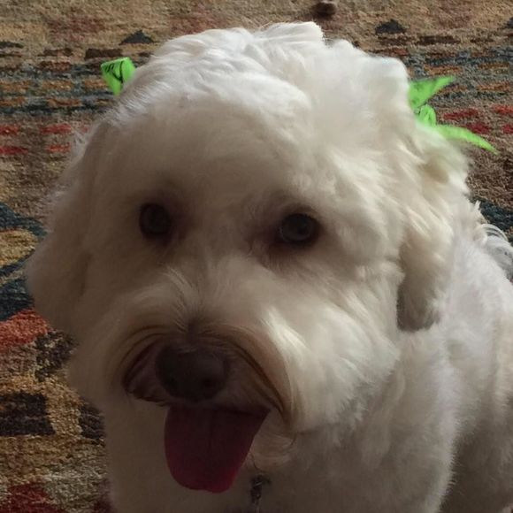 Meet your Posher, Sarah - Picture 1 of 1